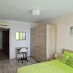 Costa Del Norte, Complex Carpe Diem, Free Parking Apartment *